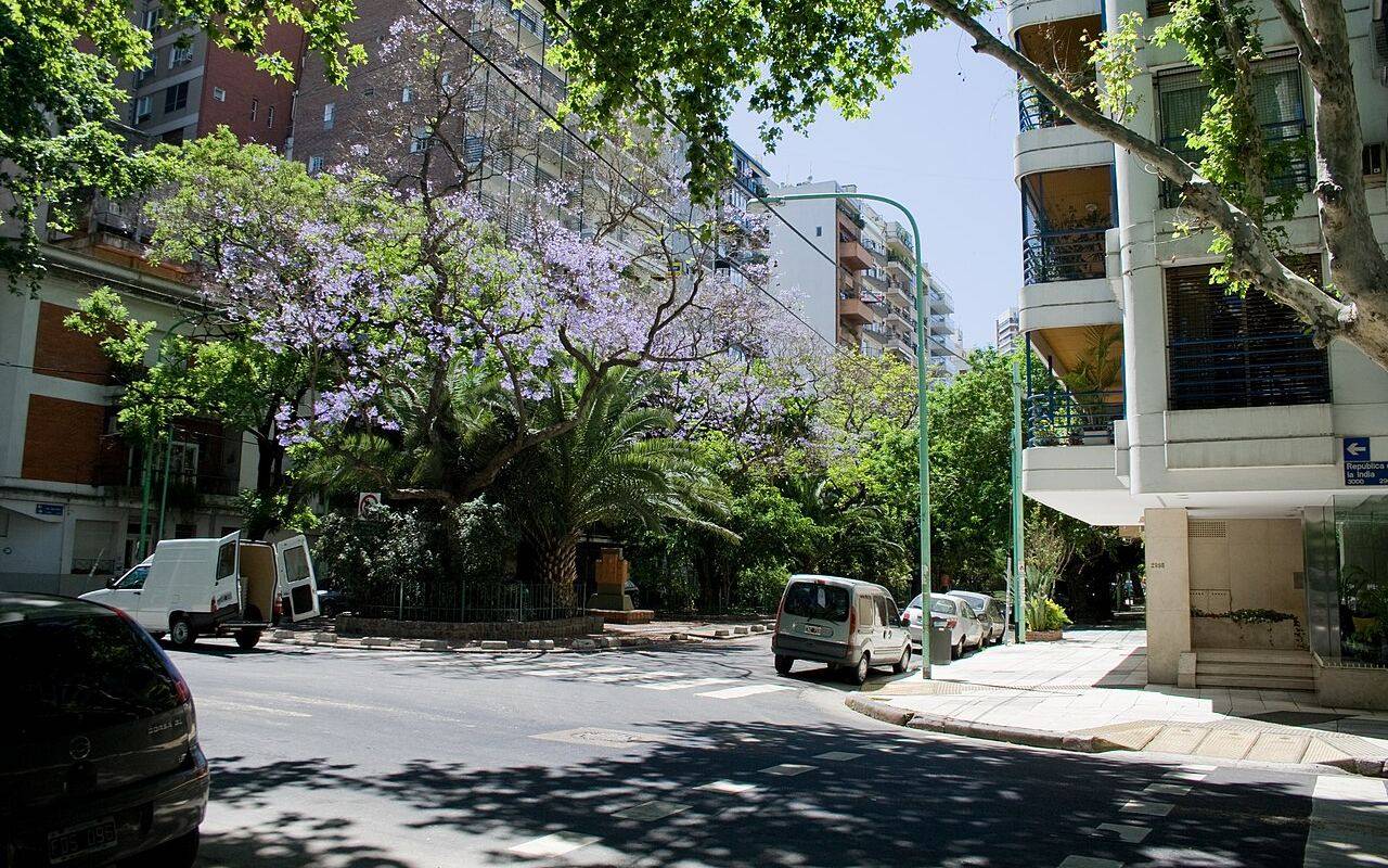 Calle arbolada con edificios y vehículos estacionados en el barrio porteño de Palermo.