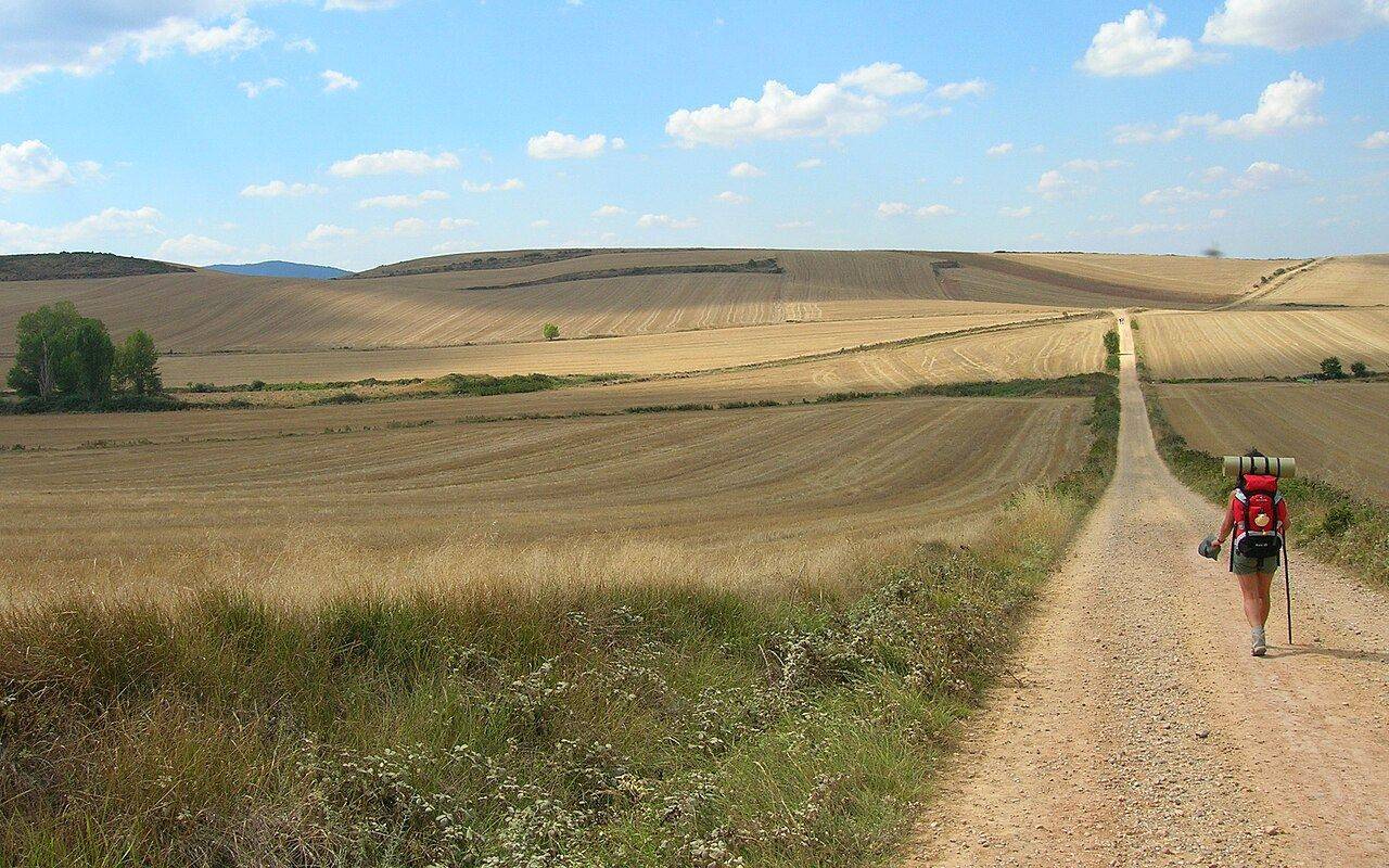 Peregrina caminando por un sendero rural en el Camino de Santiago