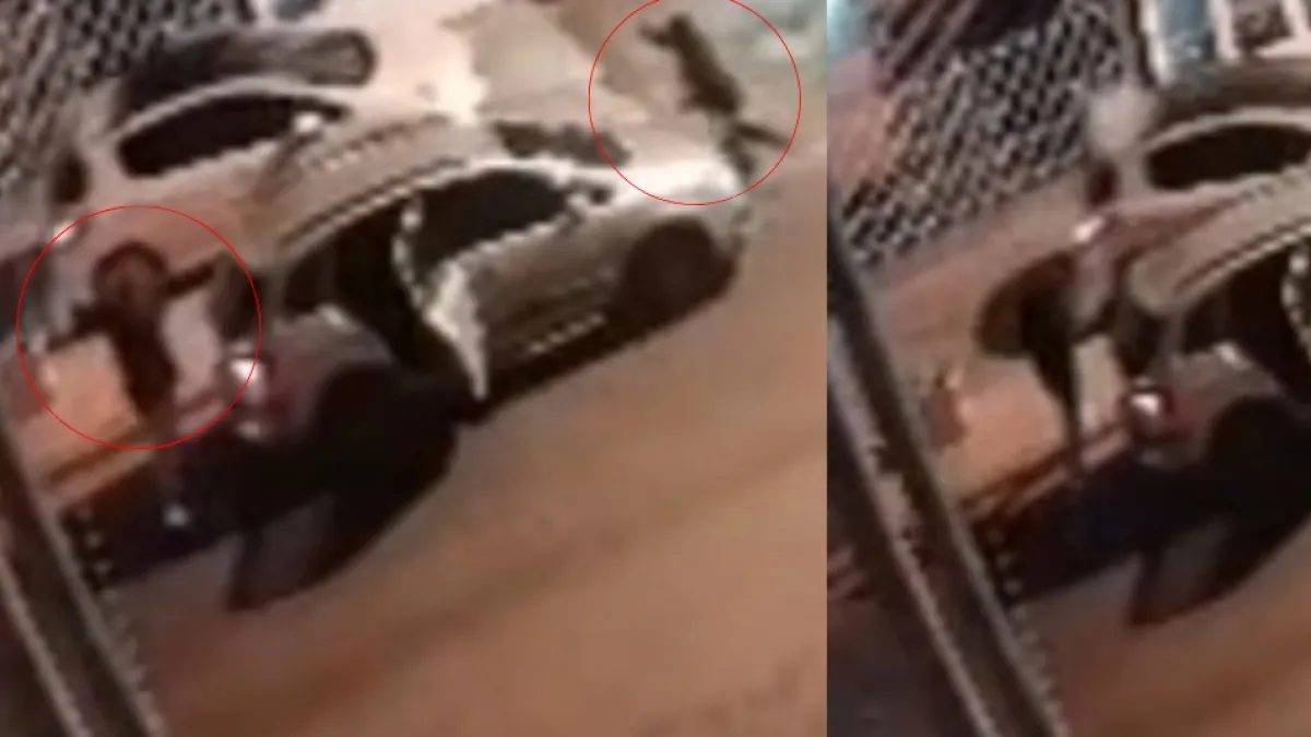 Un conductor atropella y mata a un asaltante en La Matanza